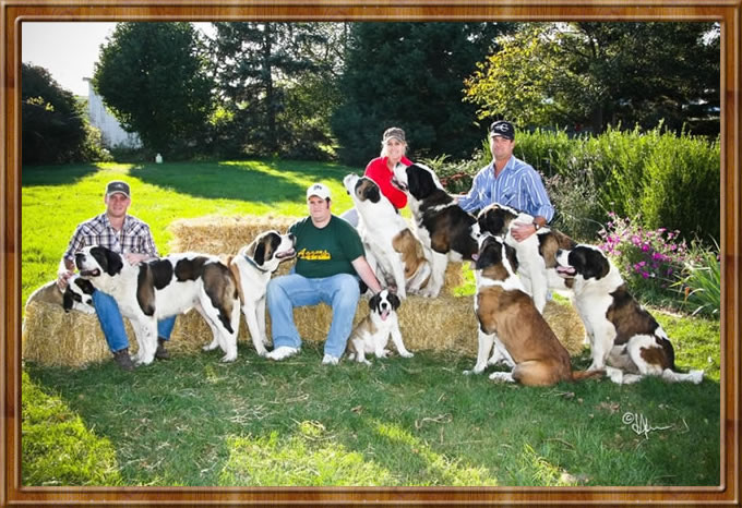 family with dogs